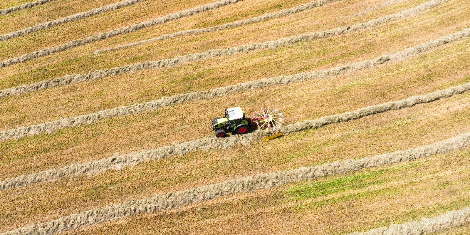 Compétences Communicationnelles : Apports de la Licence Lettres