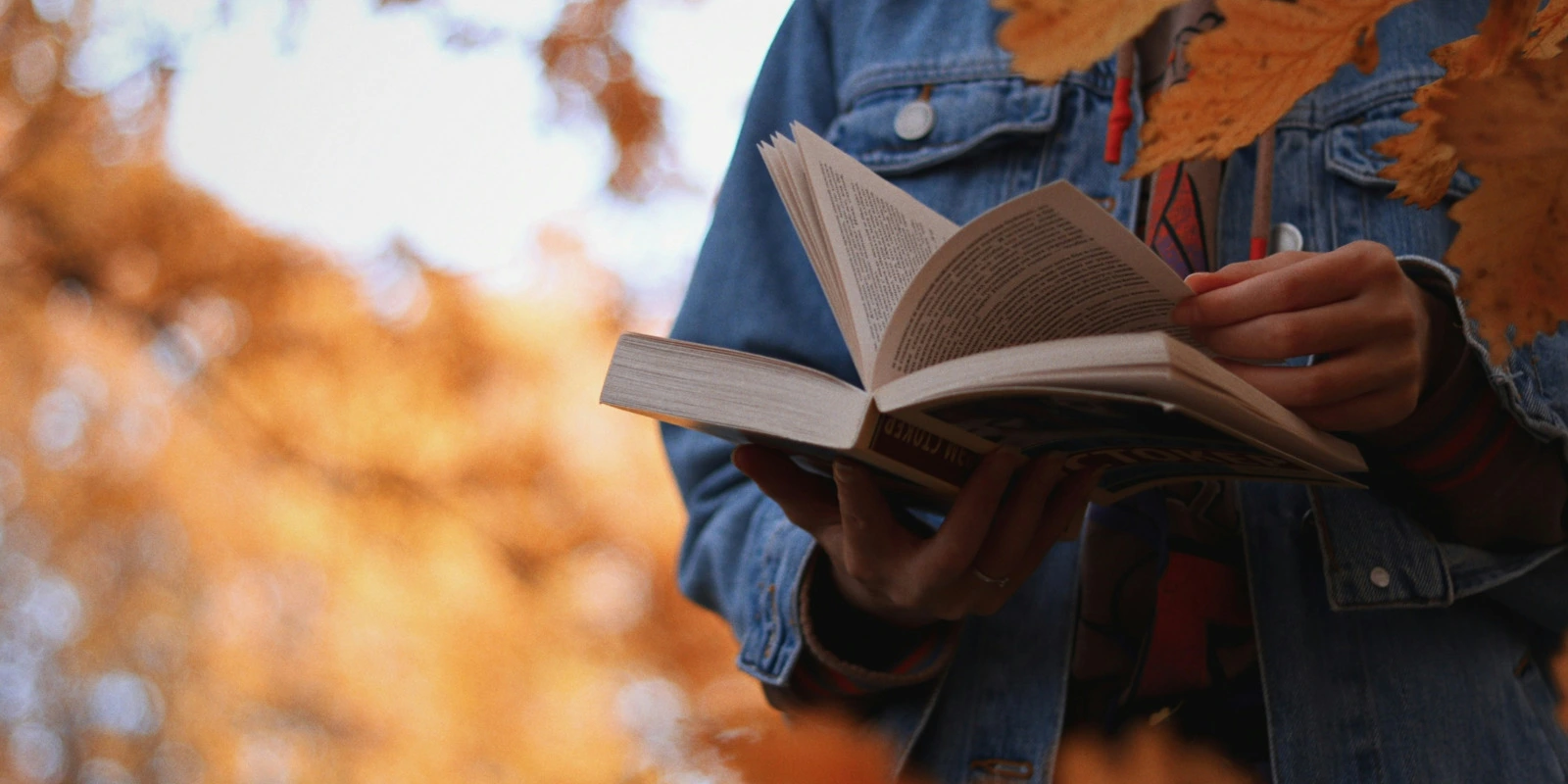 Exemple de Lettre de Motivation pour Licence AES