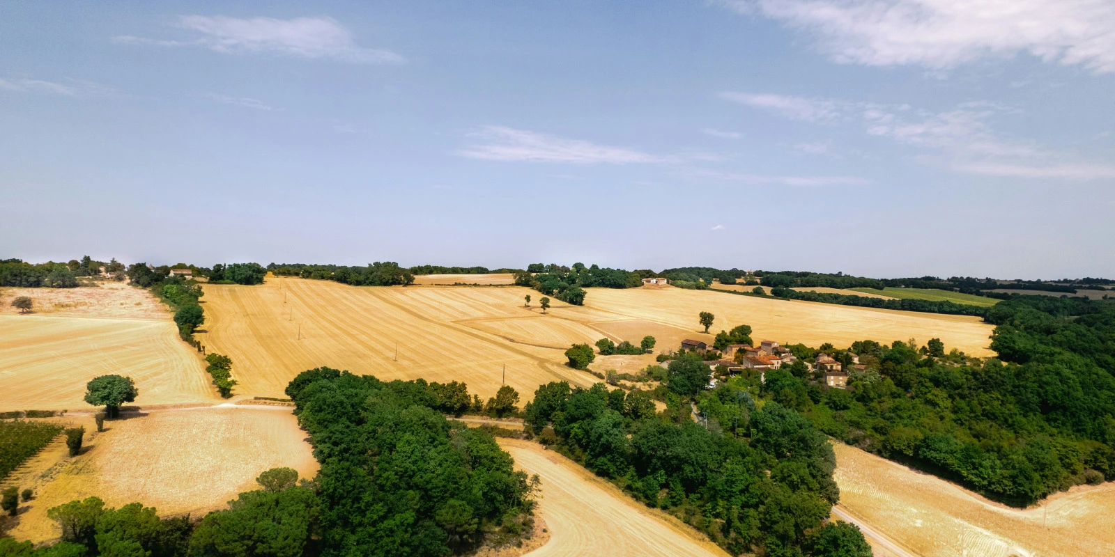 La Nouvelle : Rédaction et Analyse d'un Genre Littéraire