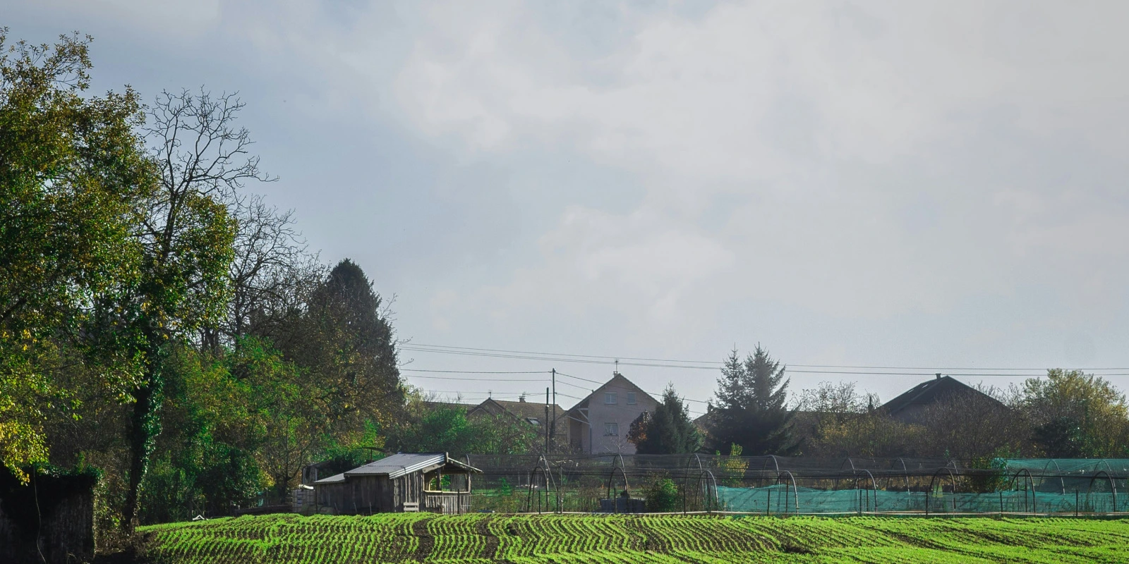 Le Roman Contemporain : Approches Critiques en Licence Lettres