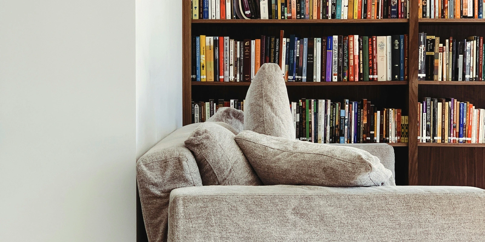 Lettre de Motivation Licence de Droit : Conseils et Modèles