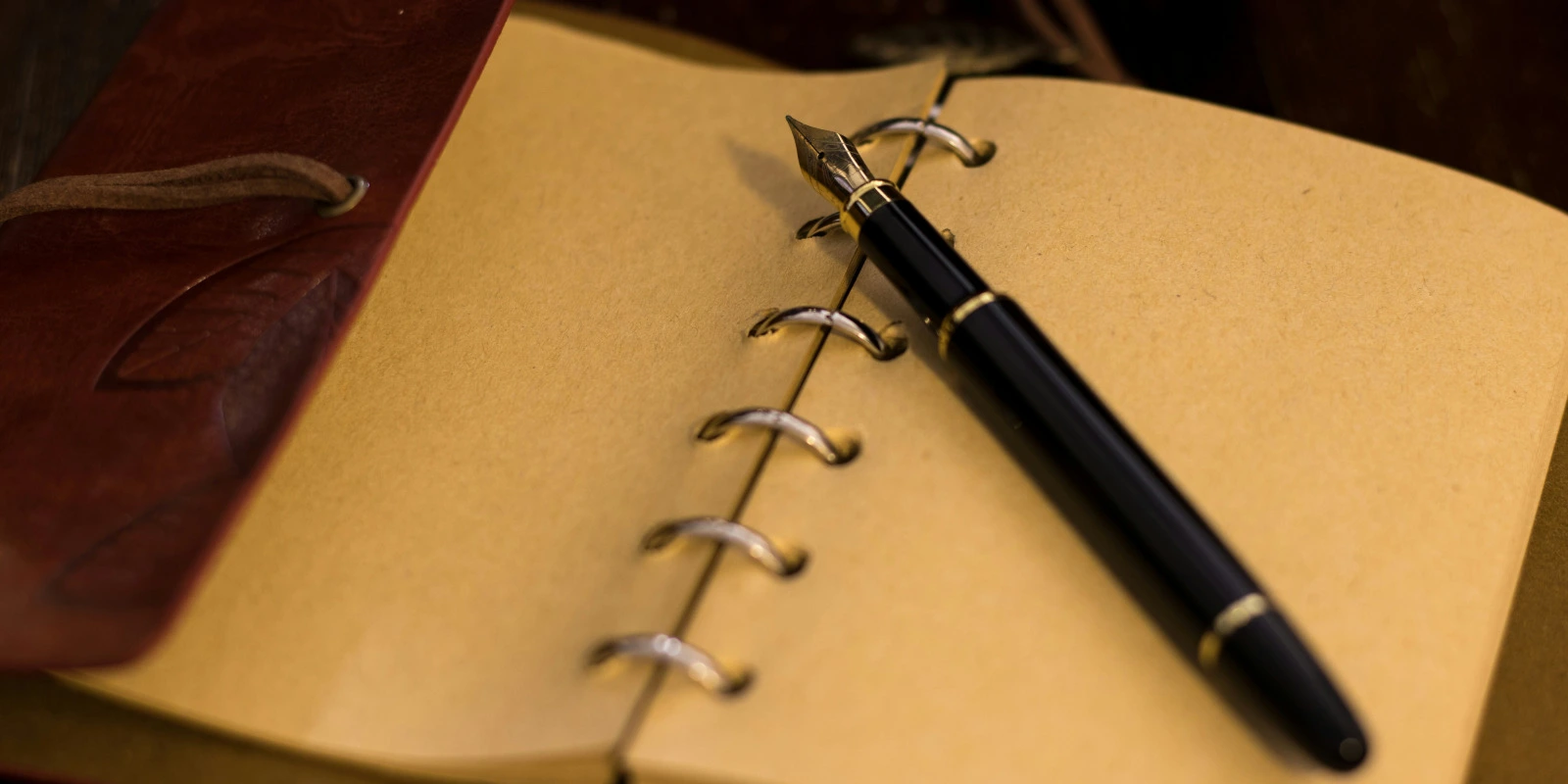 Lettre de Motivation Pour Licence de Sociologie : Modèles et Conseils