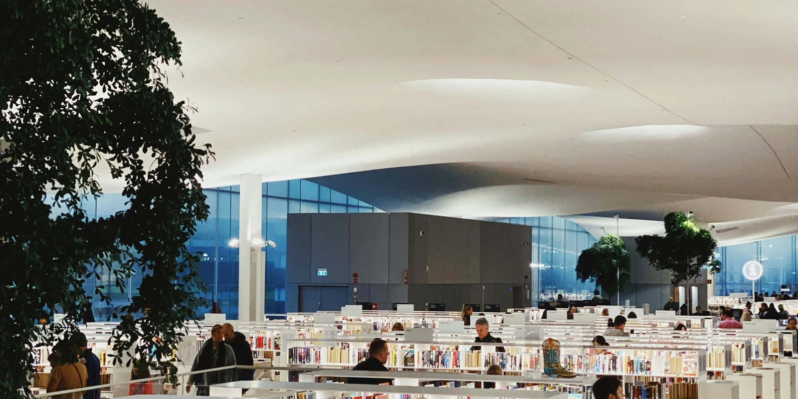 Licence de Lettres : Rédiger une Lettre de Motivation Parcoursup