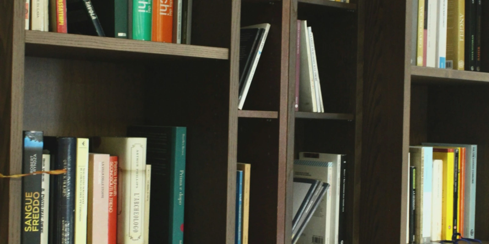 Licence Lettres : Étudier la Littérature Francophone Contemporaine