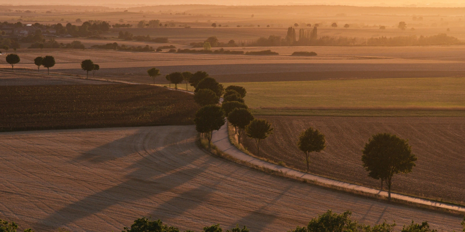 Licence Lettres : Rédiger un Commentaire Composé