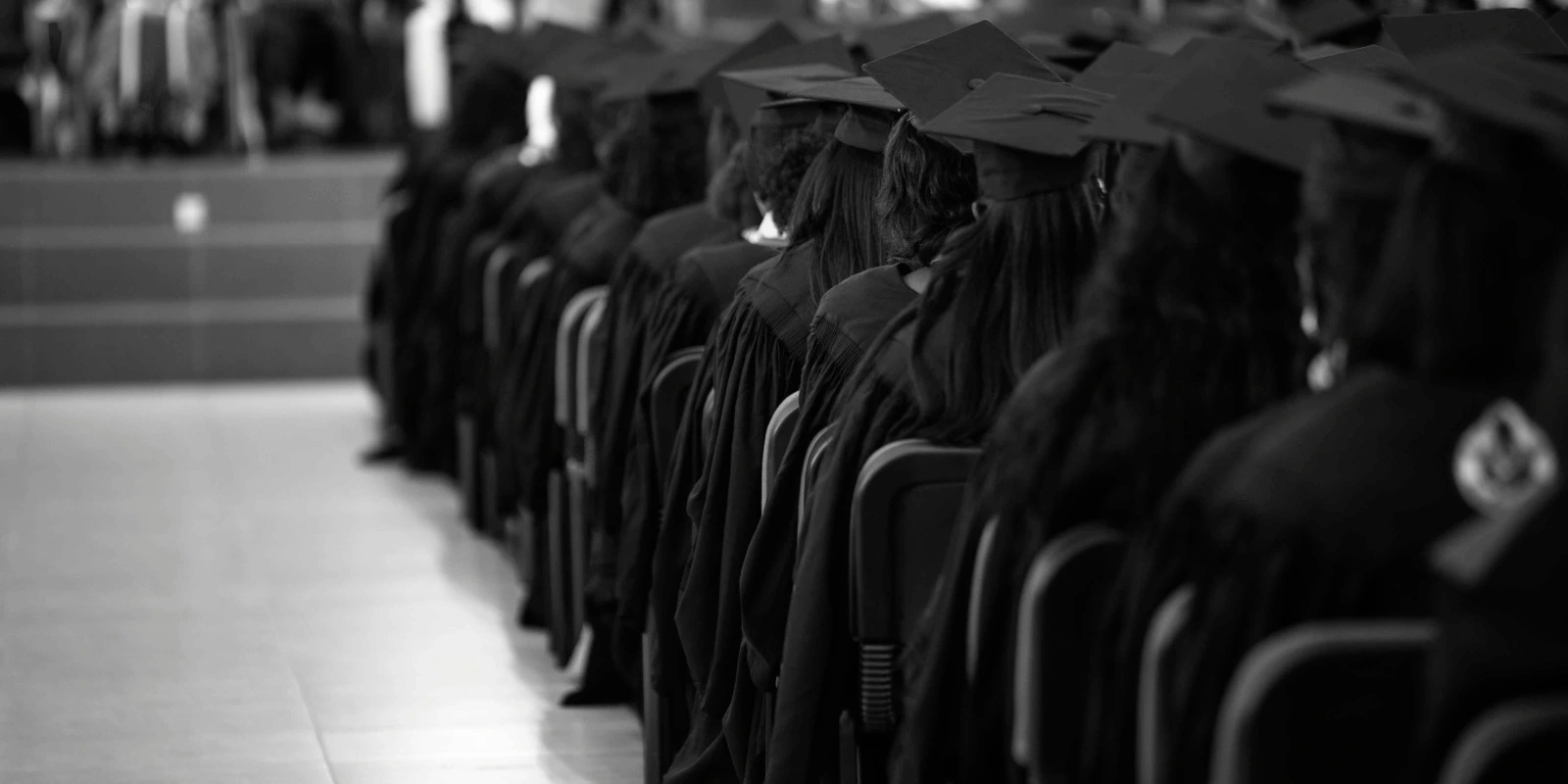 Licence Littéraire : Quel Parcours Choisir ?